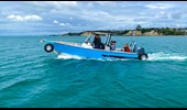 Sealegs 7.5m Alloy Amphibious Boat on water