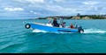 Sealegs 7.5m Alloy Amphibious Boat on water